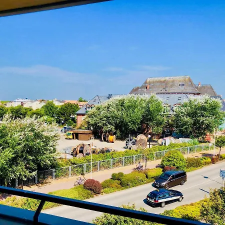 Alpenstrandlaufer Westerland